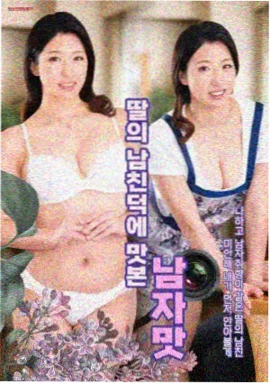金陵十二钗判词逐条拆解封面