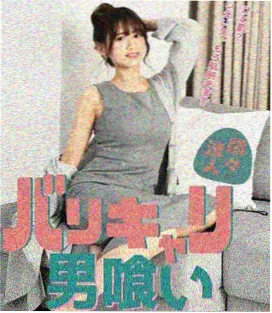 红楼梦87版电视剧第十三到二十四集封面